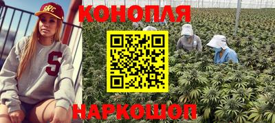 СК Донецк