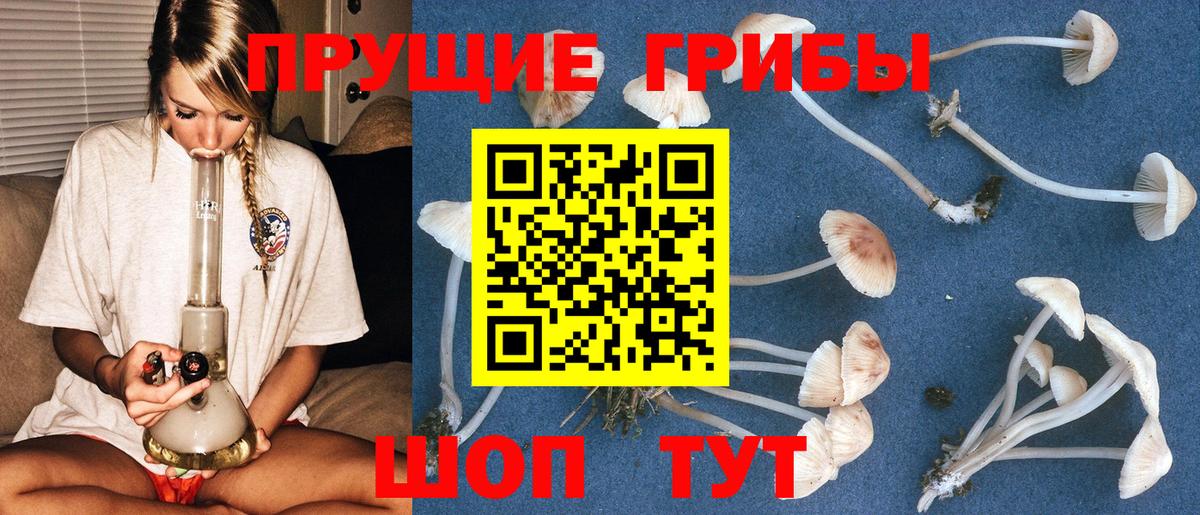 Мирный  Псилоцибиновые грибы прущие грибы  Вход с VPN 