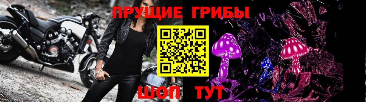 Галлюциногенные грибы Psilocybine cubensis Мирный